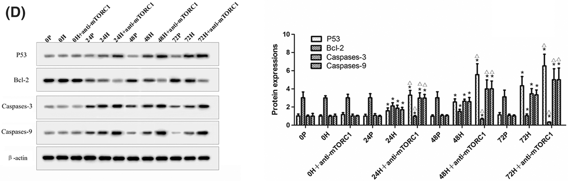Hypoxia induced apoptosis of rat gastric mucosal cells by activating ...