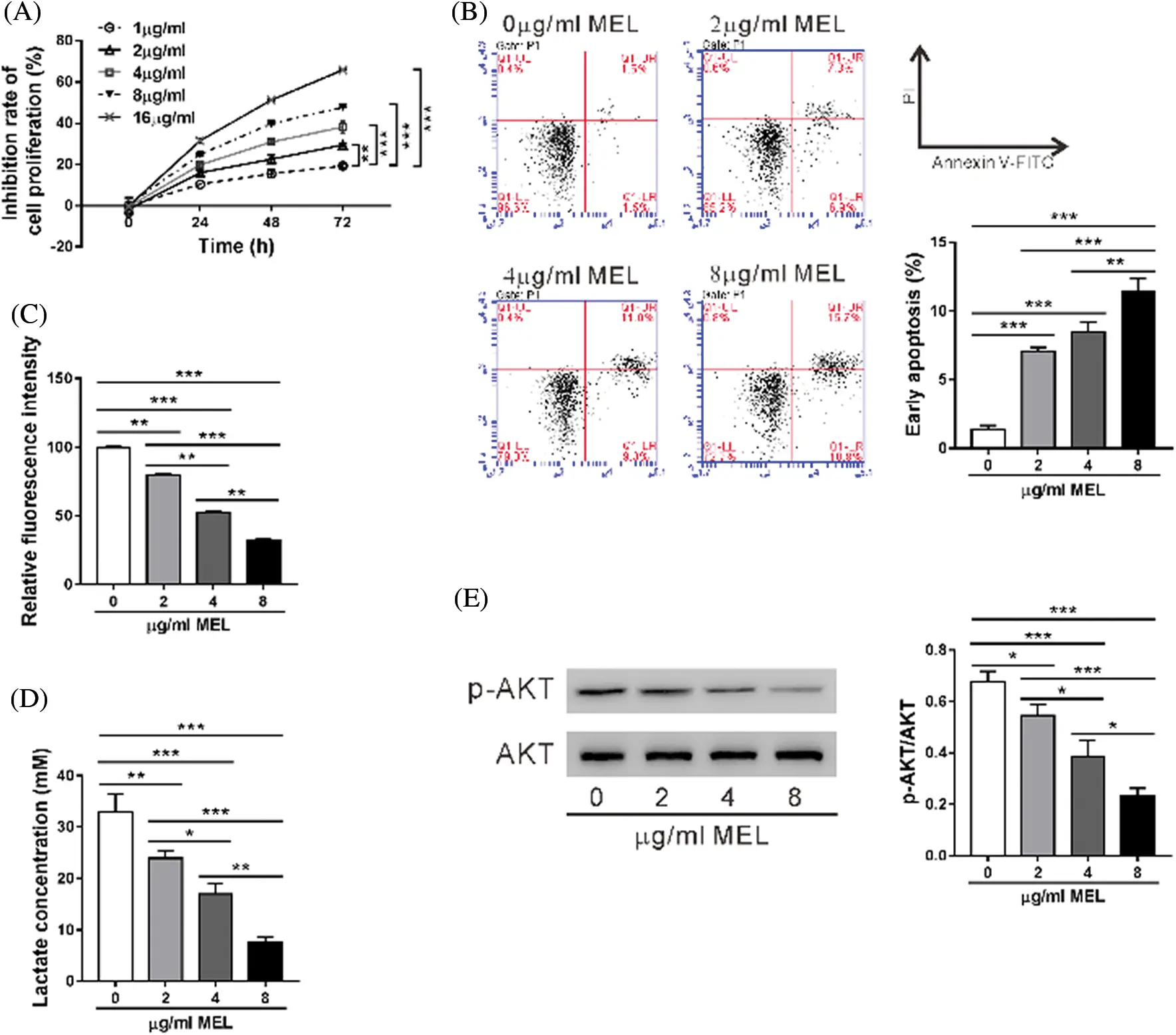 Melittin inhibited glycolysis and induced cell apoptosis in cisplatin ...