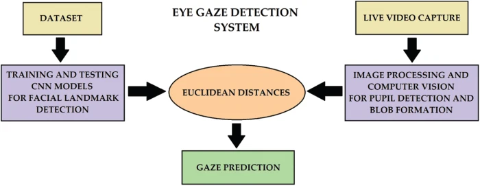 Effects of Model Eye Gaze Direction on Ads Performance