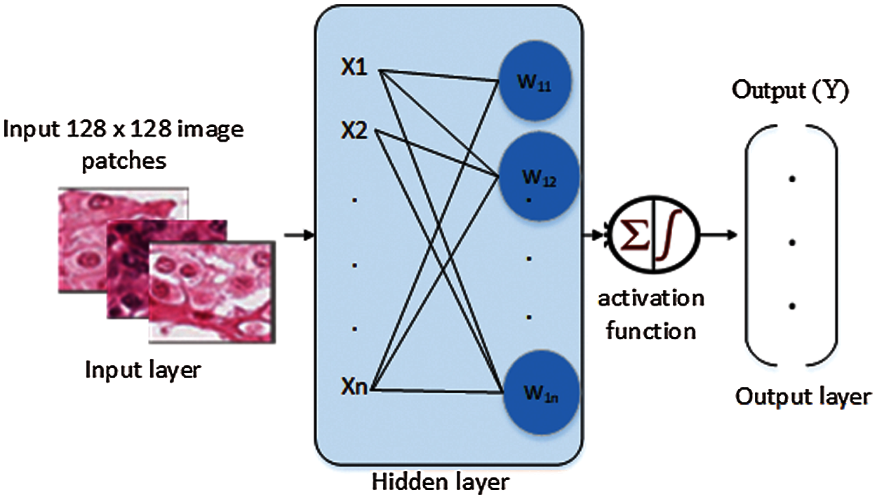 Automated Grading of Breast Cancer Histopathology Images Using ...