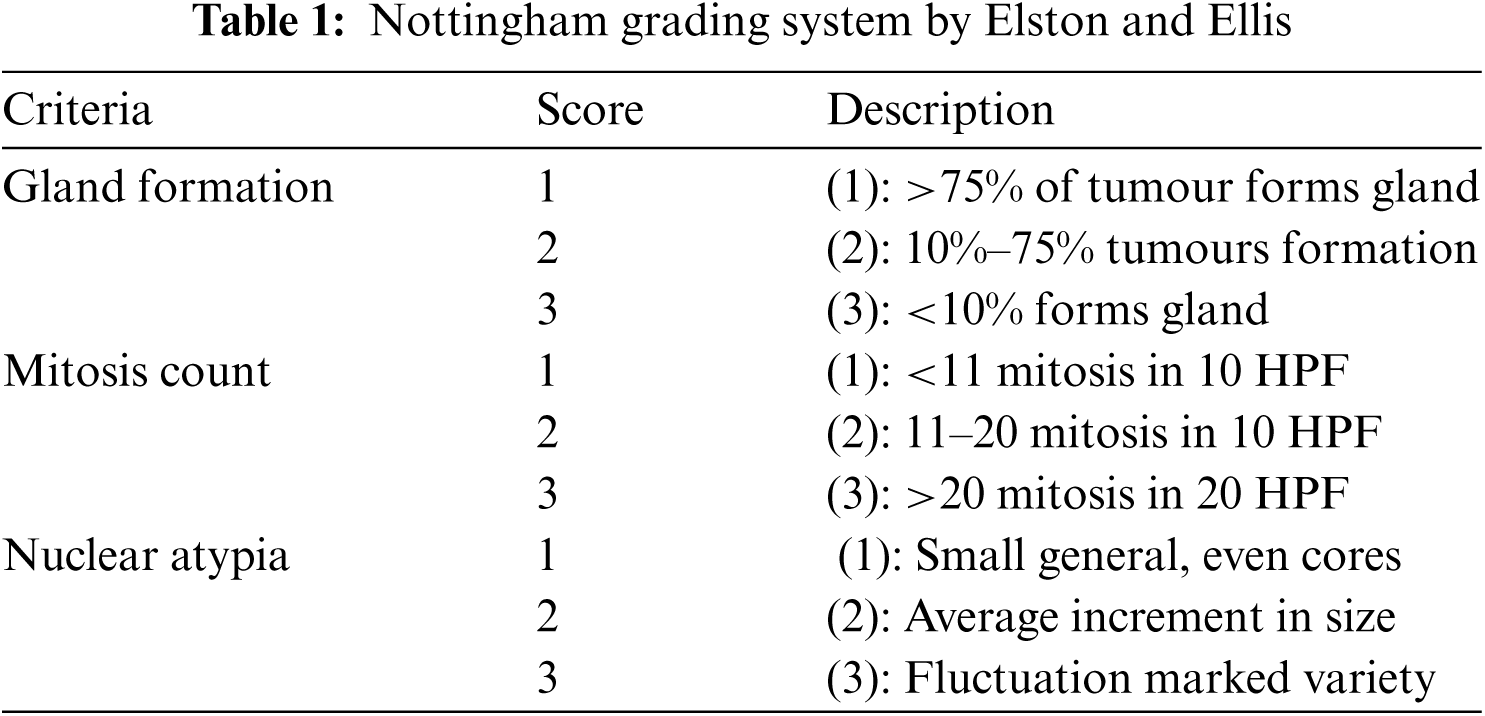 Automated Grading of Breast Cancer Histopathology Images Using ...
