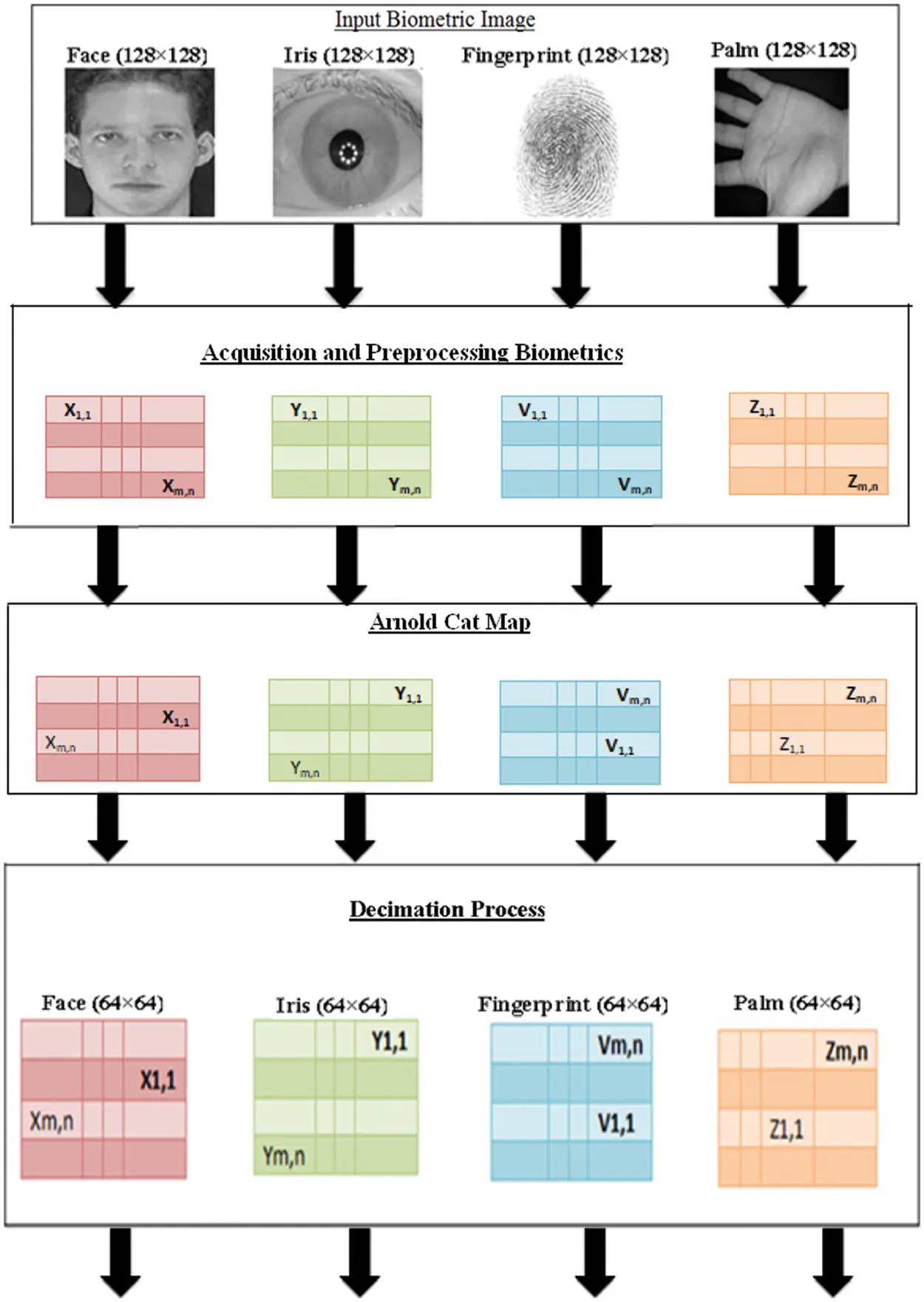 Cancellable Multi-Biometric Template Generation Based on Arnold Cat Map ...