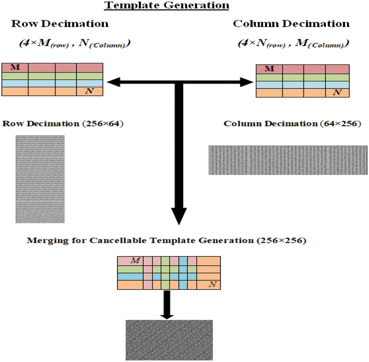 Cancellable Multi-Biometric Template Generation Based on Arnold Cat Map ...