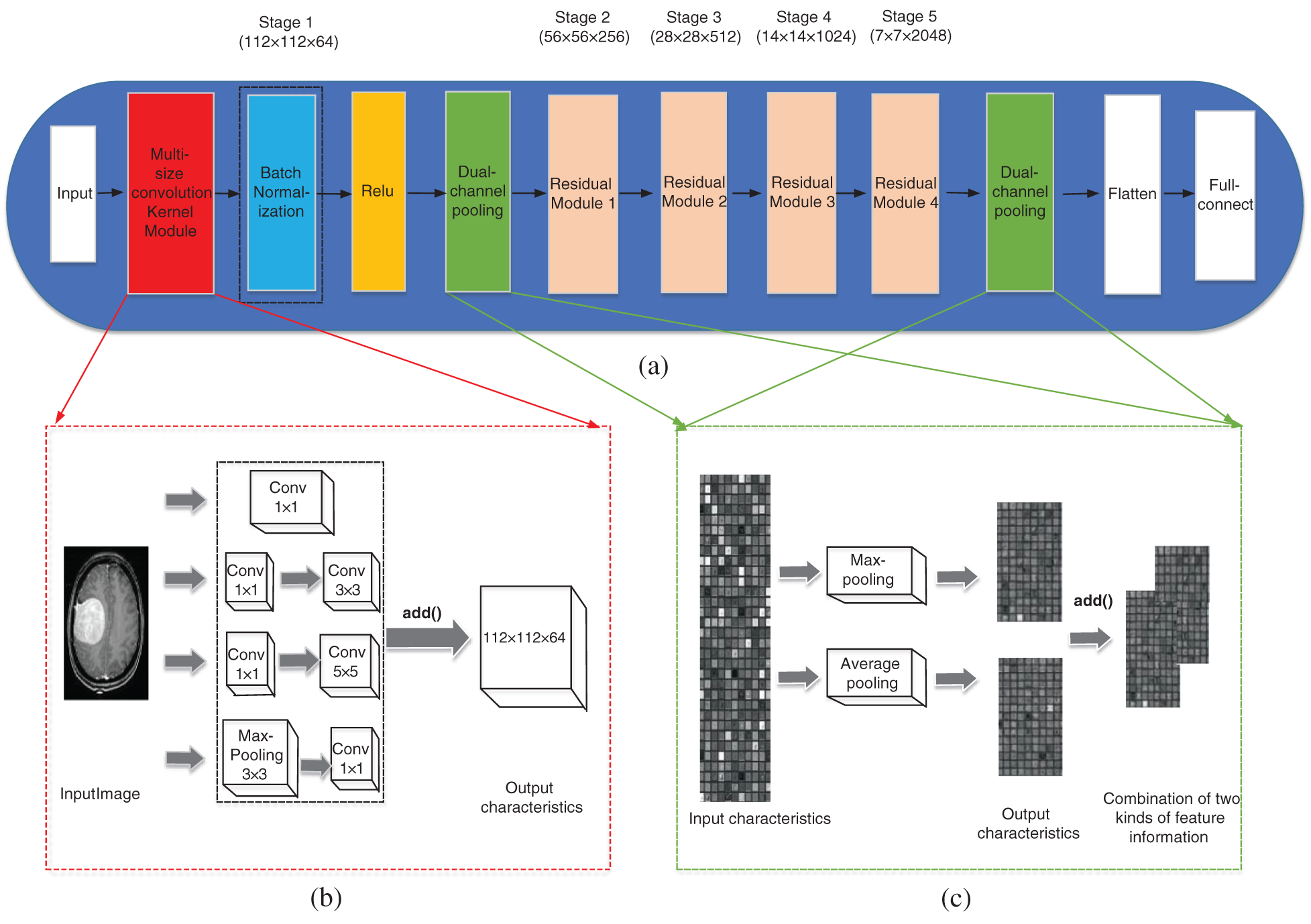 Examples Of Classification Provided By The Resnet50 M - vrogue.co