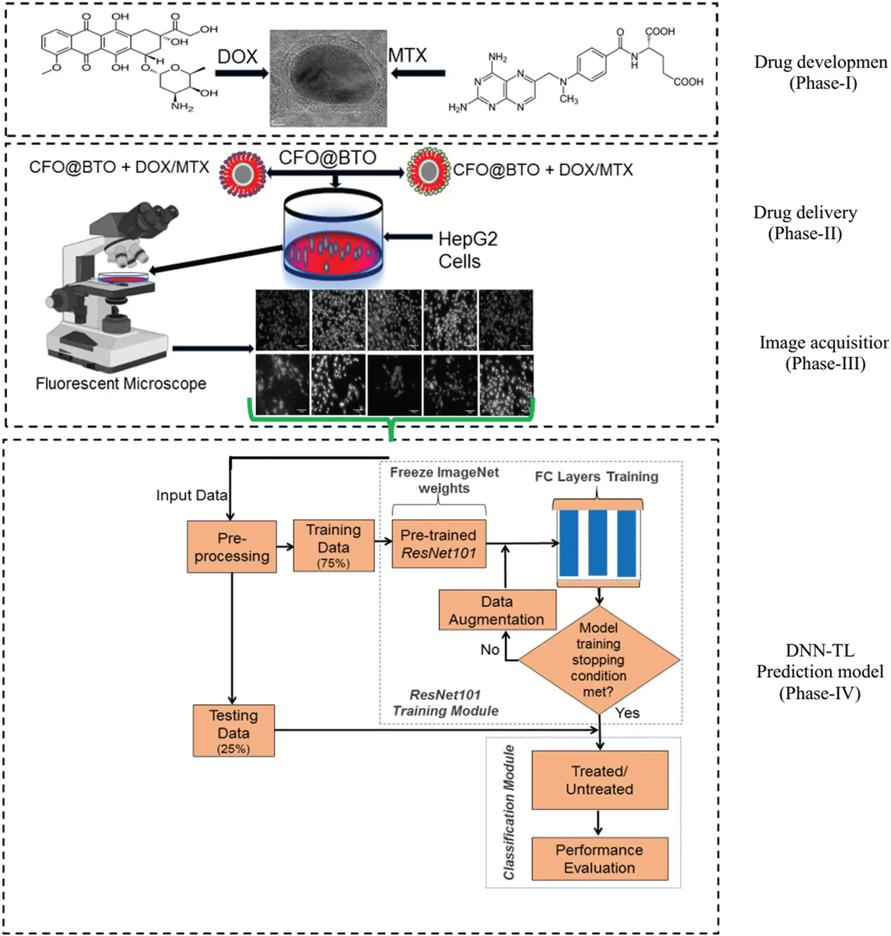 Drug Response Prediction of Liver Cancer Cell Line Using Deep Learning