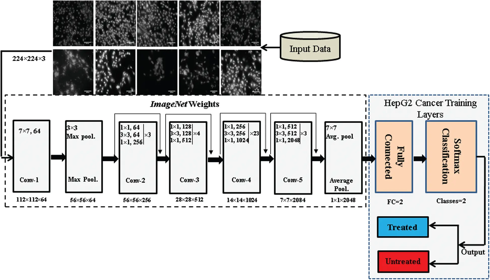 Drug Response Prediction of Liver Cancer Cell Line Using Deep Learning