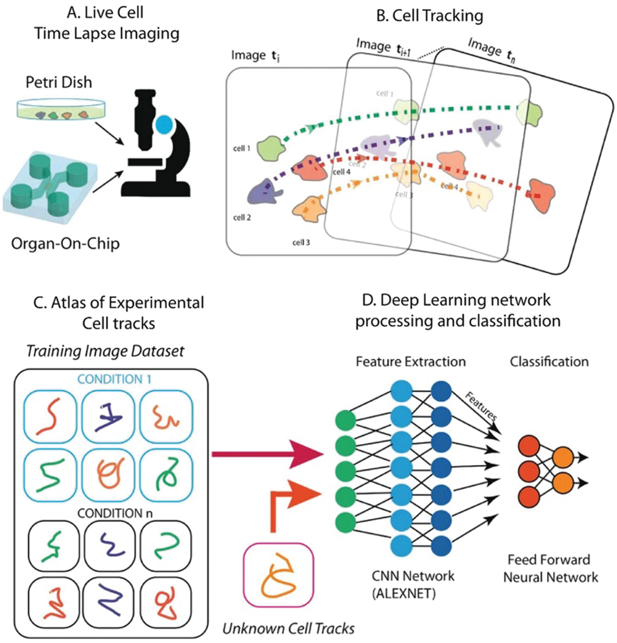 multiple disease prediction using machine learning research paper