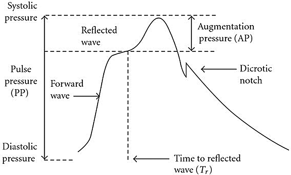Pulse pressure. Systolic. Reflected Waves Pulse Blood Pressure. Pulse Wave Pressure approximation.