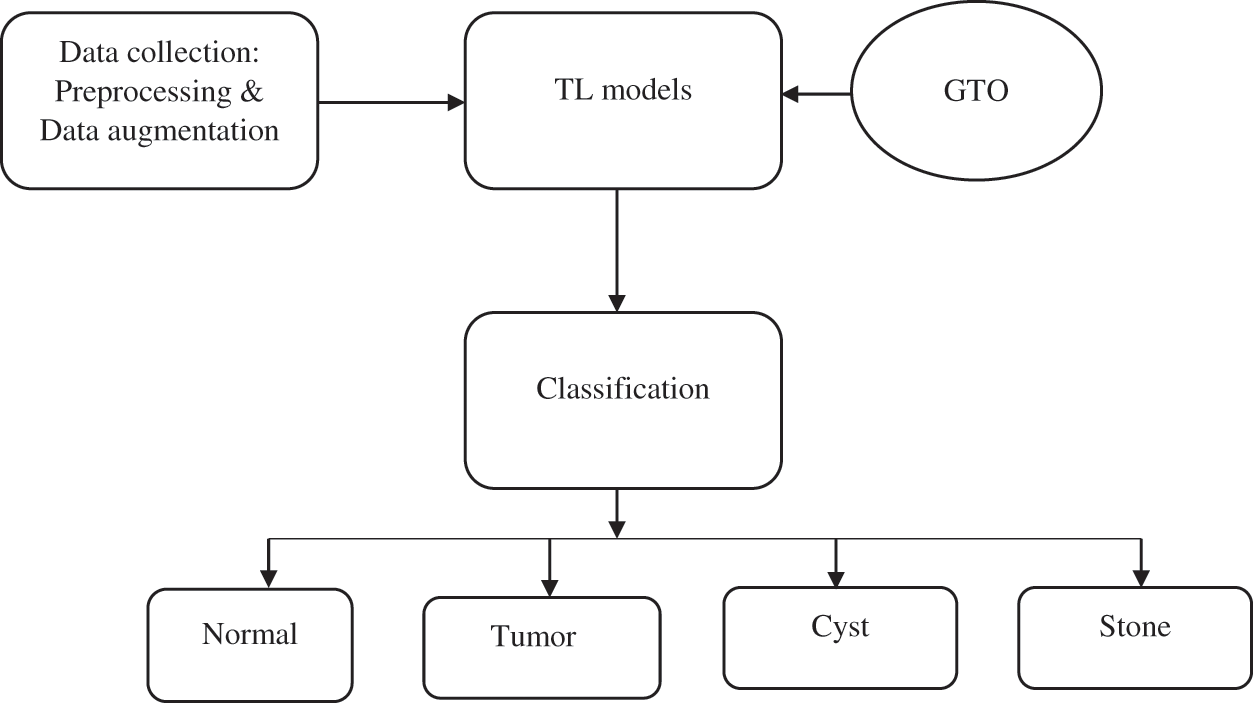 An Optimized Transfer Learning Model Based Kidney Stone Classification
