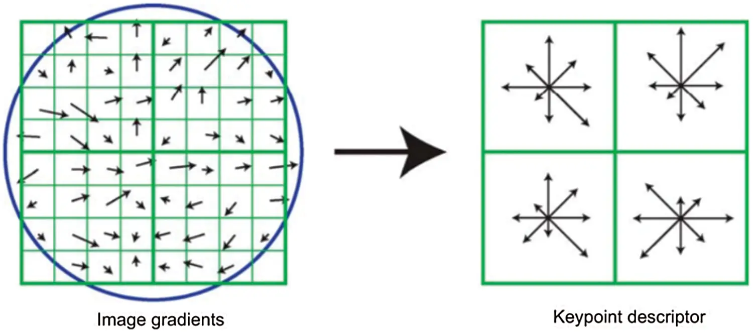 An Optimized ScaleInvariant Feature Transform Using Chamfer Distance