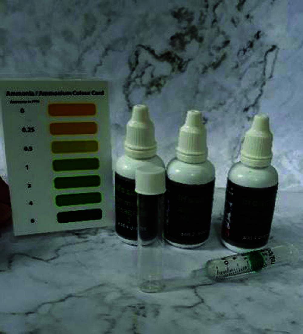 изображений