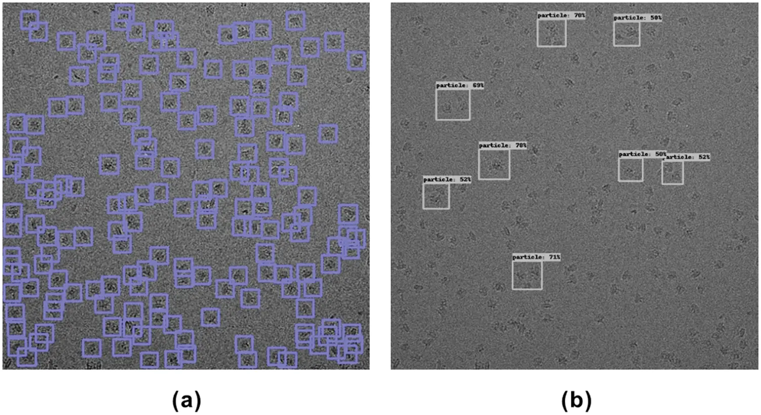 CenterPicker An Automated CryoEM SingleParticle Picking Method Based
