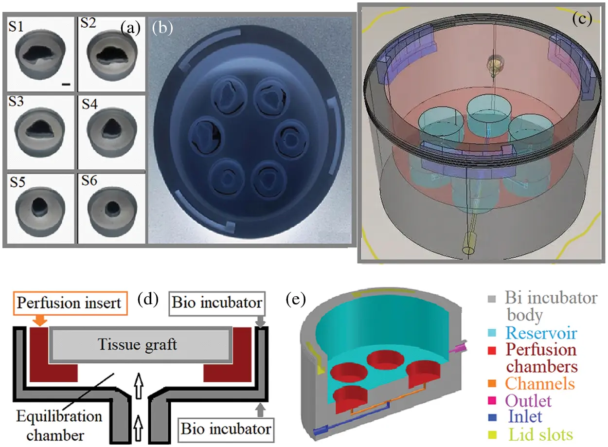 Construction of Customized Bio Incubator and Designing of Tailored ...