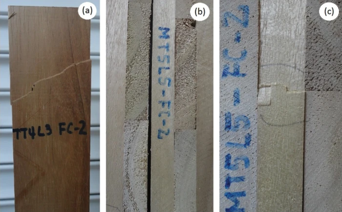 Bending, Compression and Bonding Performance of Cross-Laminated Timber  (CLT) Made from Malaysian Fast-Growing Timbers