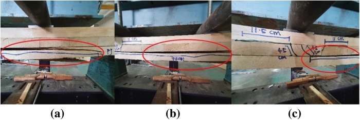 Bending, Compression and Bonding Performance of Cross-Laminated Timber  (CLT) Made from Malaysian Fast-Growing Timbers