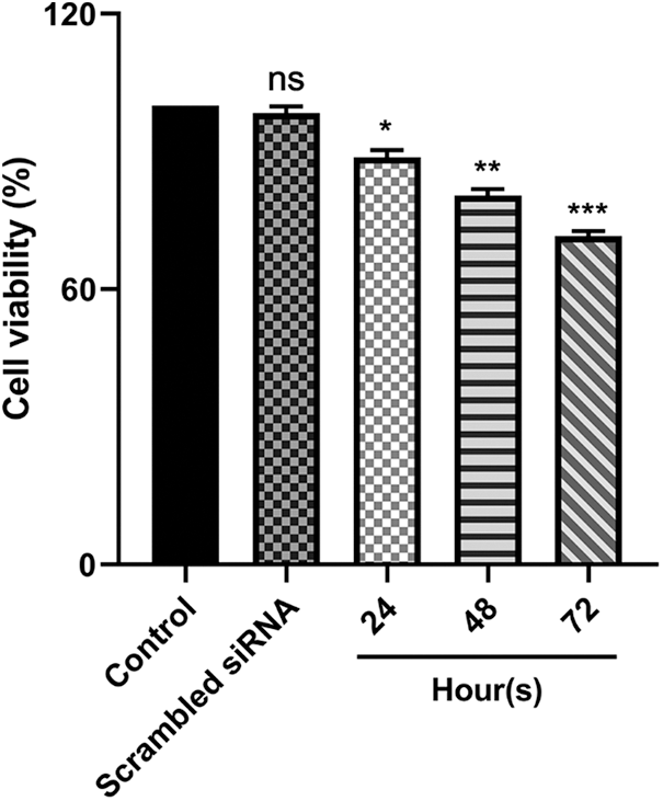 OR | Free Full-Text | Suppression of human papillomavirus type 16 E5 ...