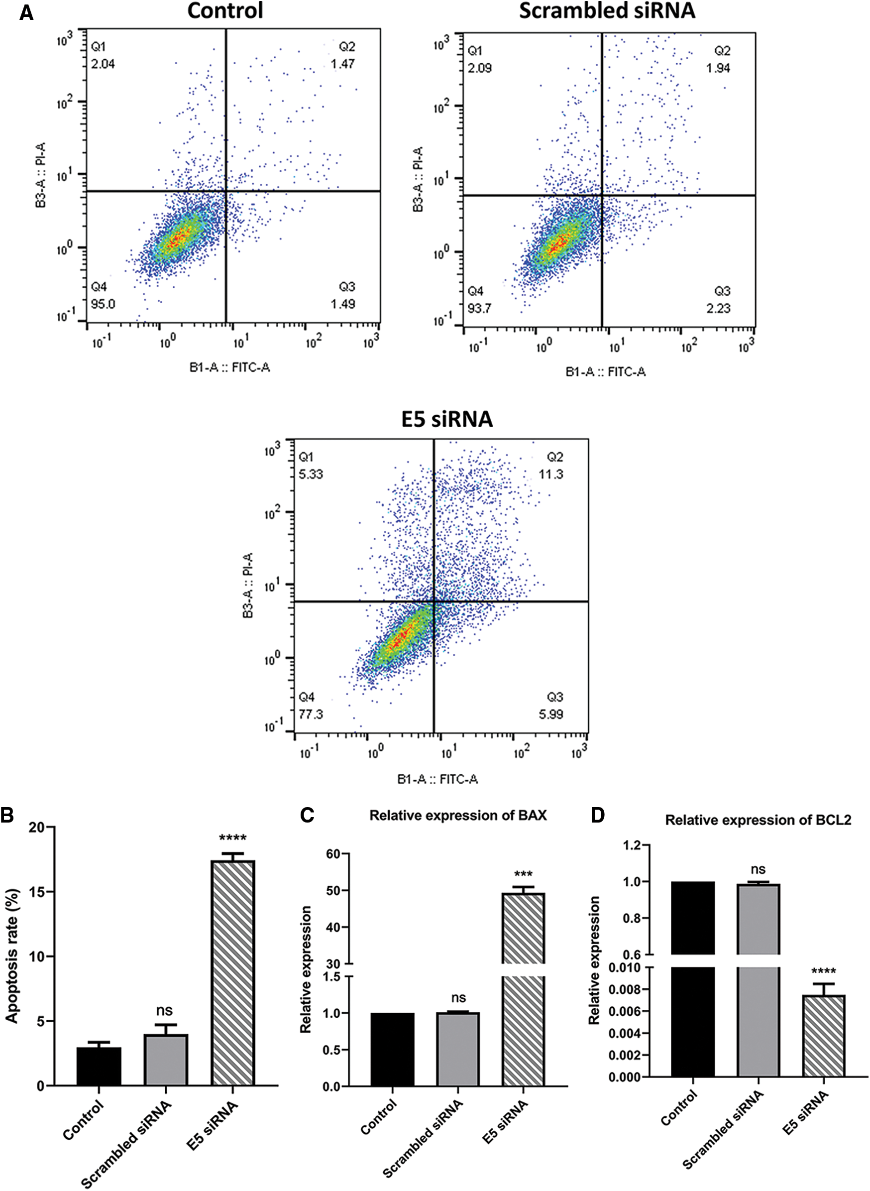 OR | Free Full-Text | Suppression of human papillomavirus type 16 E5 ...