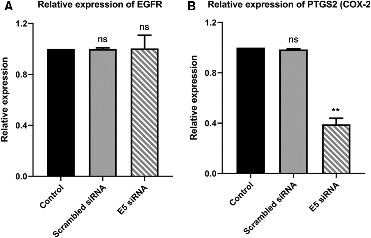 OR | Free Full-Text | Suppression of human papillomavirus type 16 E5 ...