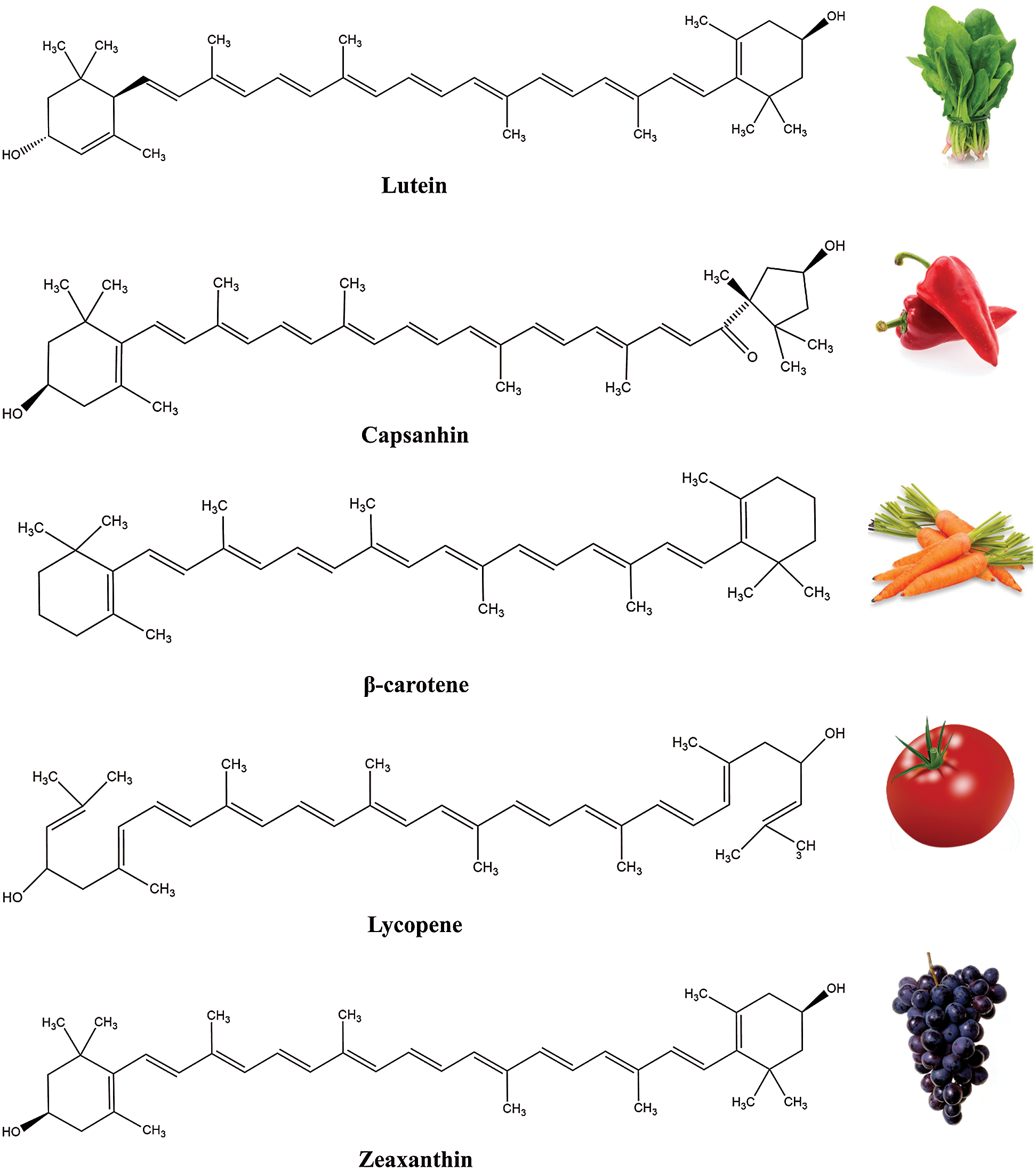 Carotenoids New Applications of “Old” Pigments