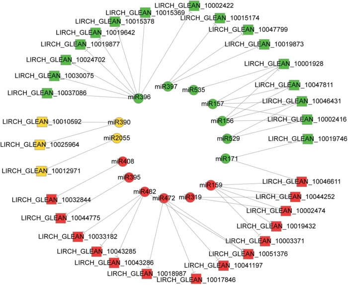 Selection of reference genes for gene expression analysis in Liriodendron  hybrids' somatic embryogenesis and germinative tissues