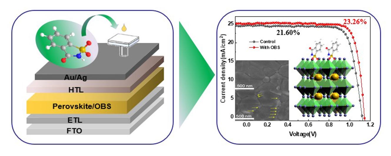 Grain Boundary Passivation Modulated by Molecular Doping for High-Performance Perovskite Solar Cells
