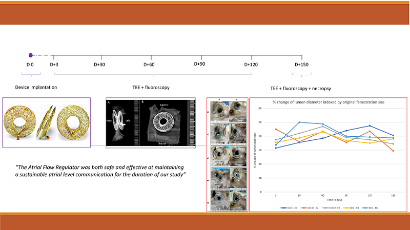 Mid-Term Preliminary Results for Safety and Patency of the Occlutech Atrial Flow Regulator in an Animal Model