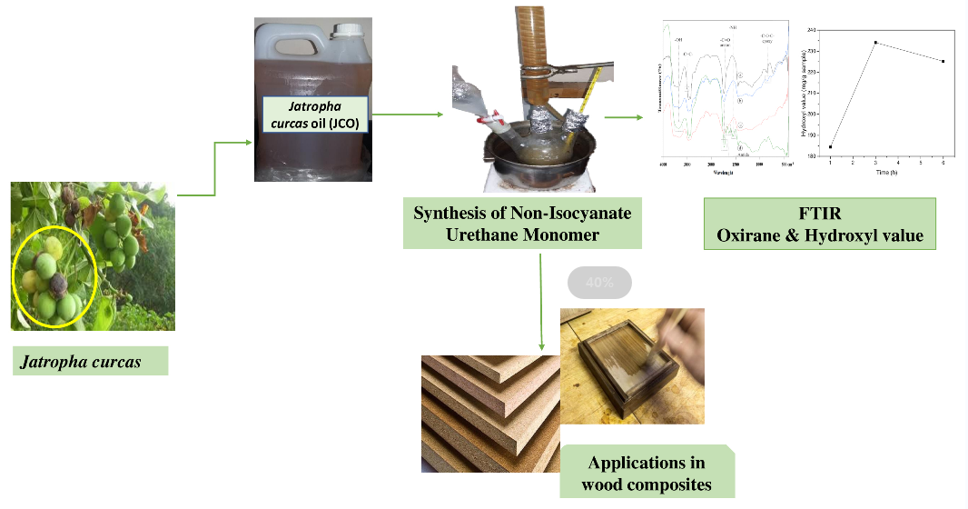 Development and Characterization of Eco-Friendly Non-Isocyanate Urethane Monomer from <i>Jatropha curcas</i> Oil for Wood Composite Applications