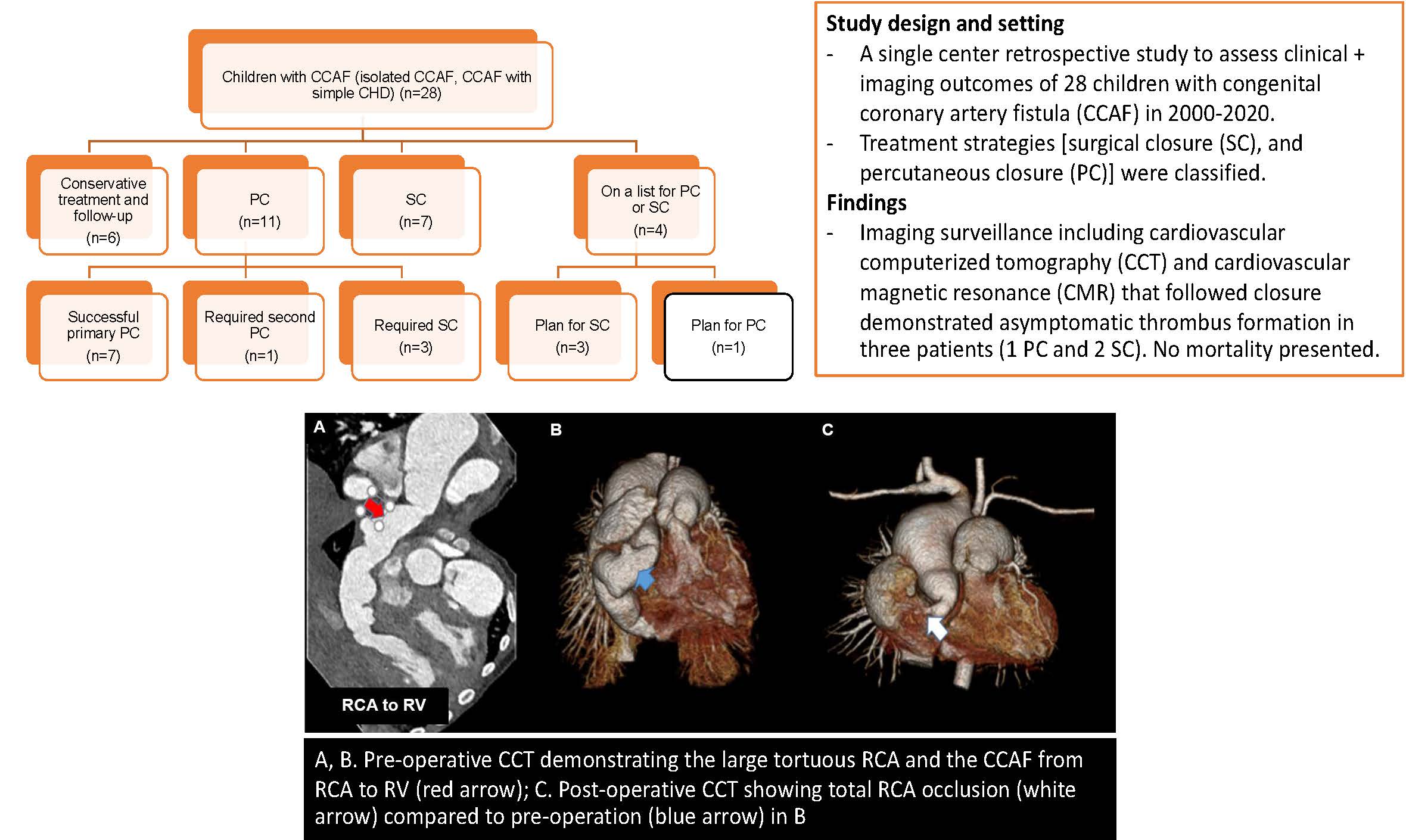 Congenital Coronary Artery Fistula in Children: A Review of 28 Cases with Clinical and Imaging Outcomes