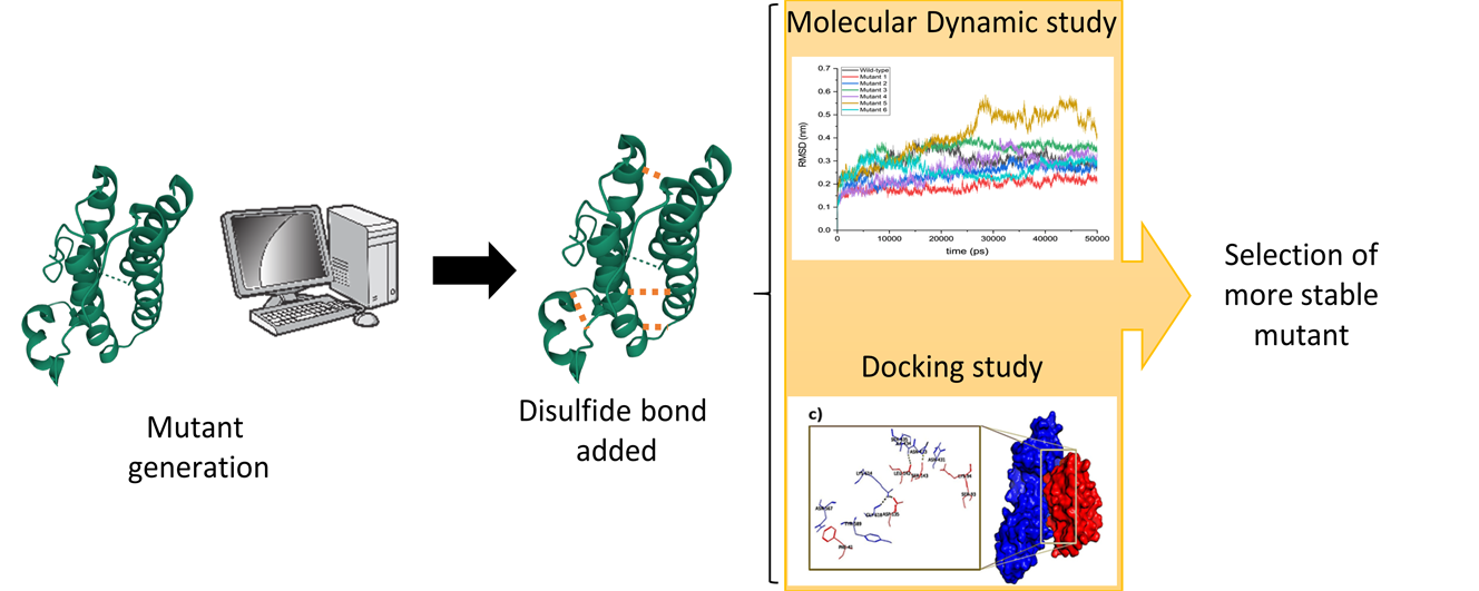 <i>In Silico</i> Disulfide Bond Engineering to Improve Human LEPTIN Stability