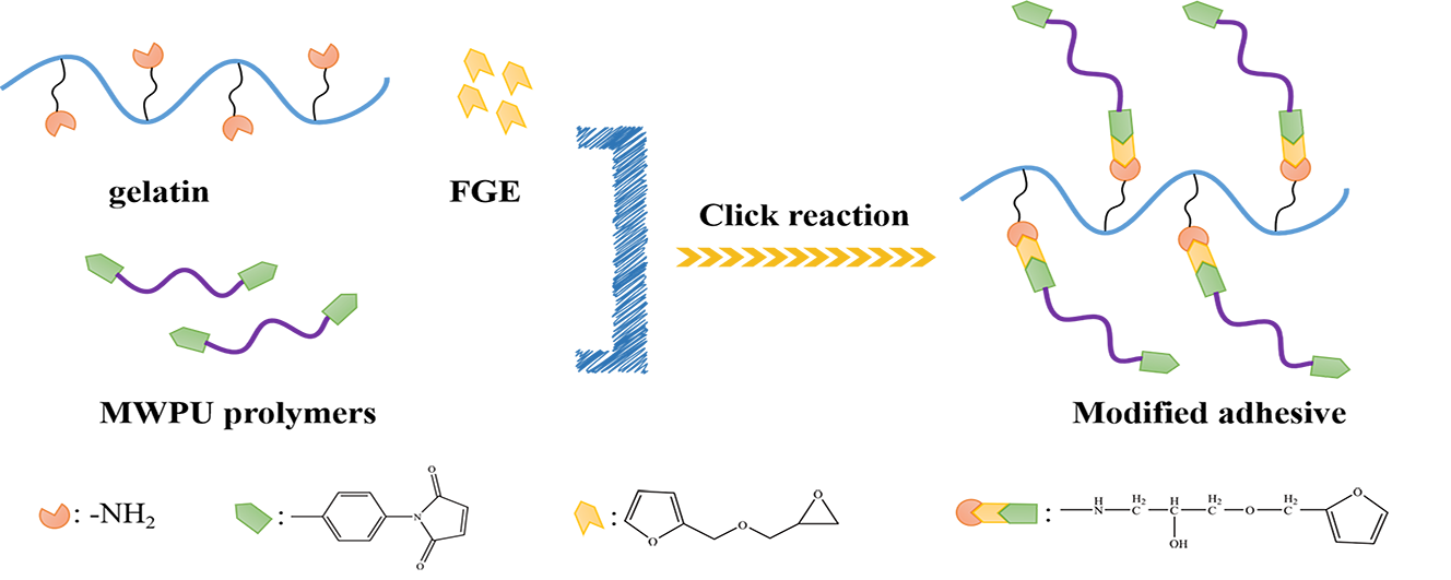 Bio-Inspired Gelatin-Based Adhesive Modified with Waterborne Polyurethane on Click Chemistry