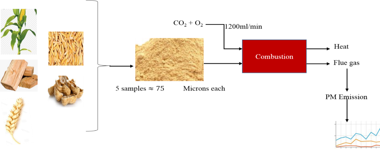 Effect of Varying Temperature and Oxygen on Particulate Matter Formation in Oxy-Biomass Combustion