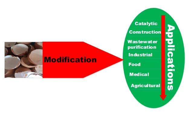 Pathways for Sustainable Utilization of Waste Chicken Eggshell