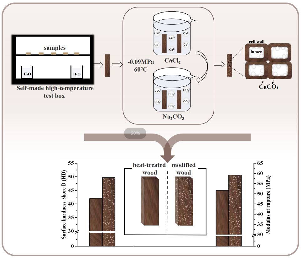 A Primary Study on Mechanical Properties of Heat-Treated Wood via <i>in-situ</i> Synthesis of Calcium Carbonate