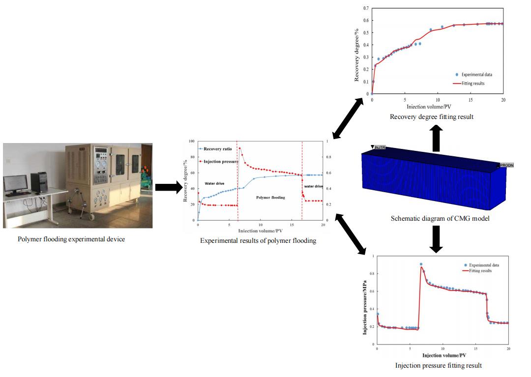 Experimental Study and Numerical Simulation of Polymer Flooding