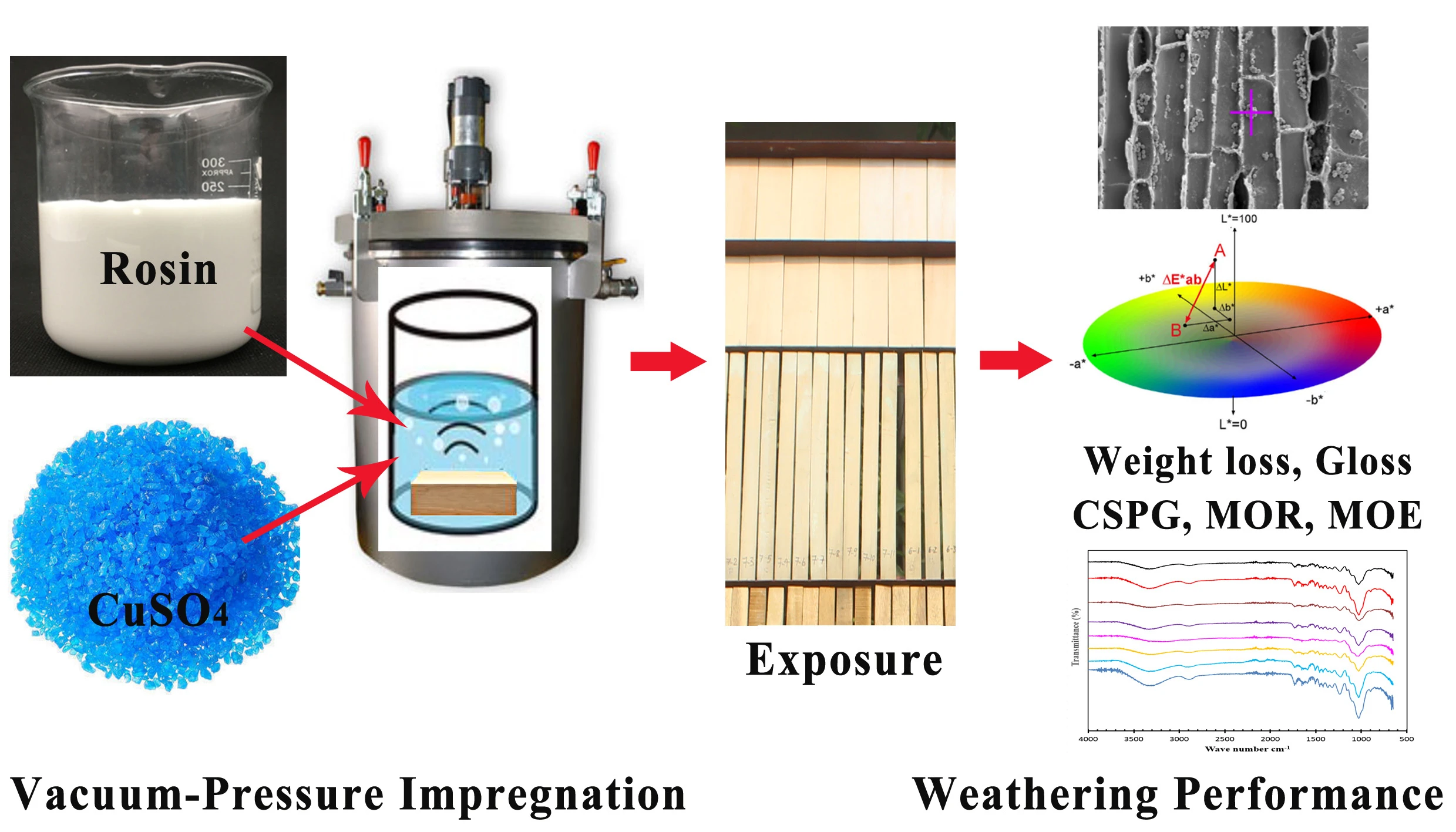 Evaluation of Weathering Performance of Rosin-Copper Based Treated Wood