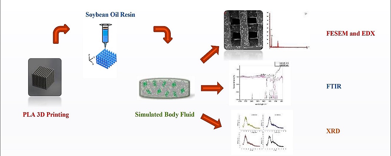 Morphological Evaluation of PLA/Soybean Oil Epoxidized Acrylate Three-Dimensional Scaffold in Bone Tissue Engineering