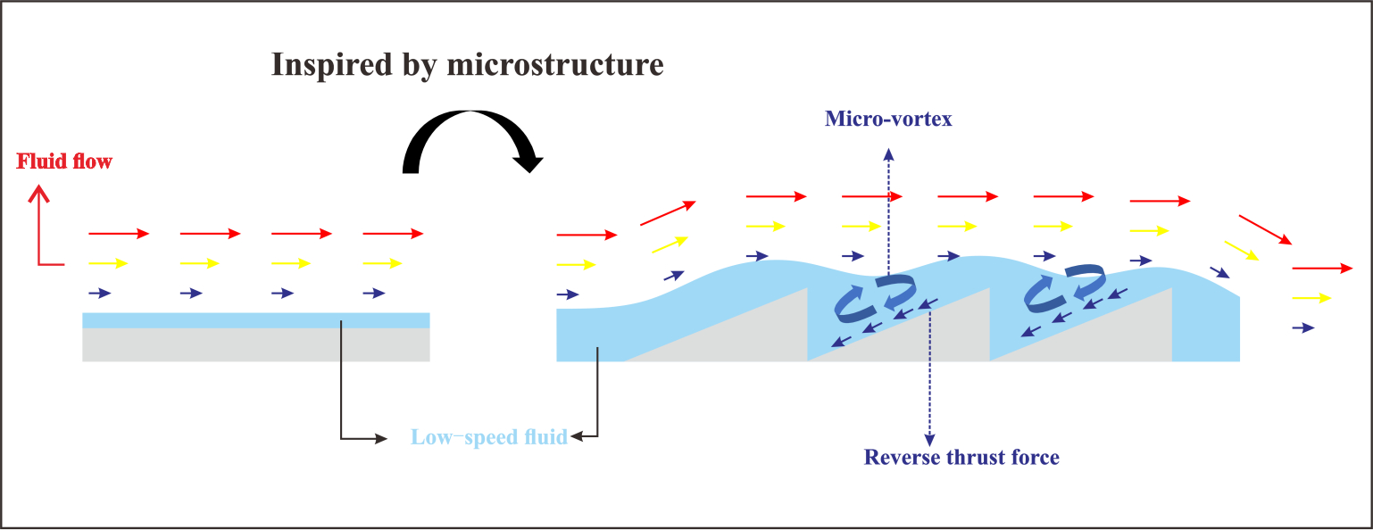 Drag Reduction Characteristics of Microstructure Inspired by the Cross Section of Barchan Dunes under High Speed Flow Condition