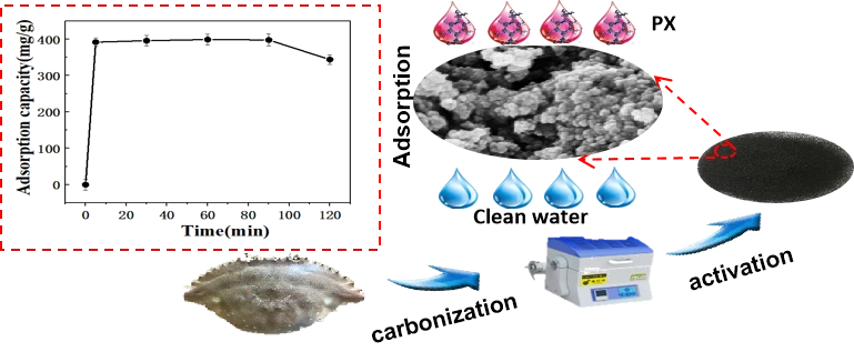 Highly Efficient Adsorption of P-Xylene from Aqueous Solutions by Hierarchical Nanoporous Biochar Derived from Crab Shell