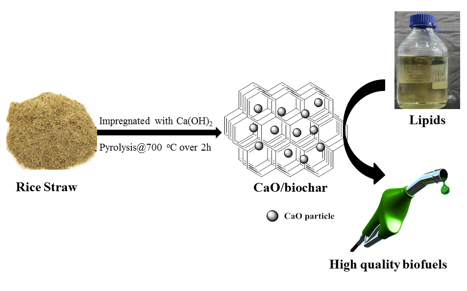 Catalytic Pyrolysis of Soybean Oil with CaO/Bio-Char Based Catalyst to Produce High Quality Biofuel