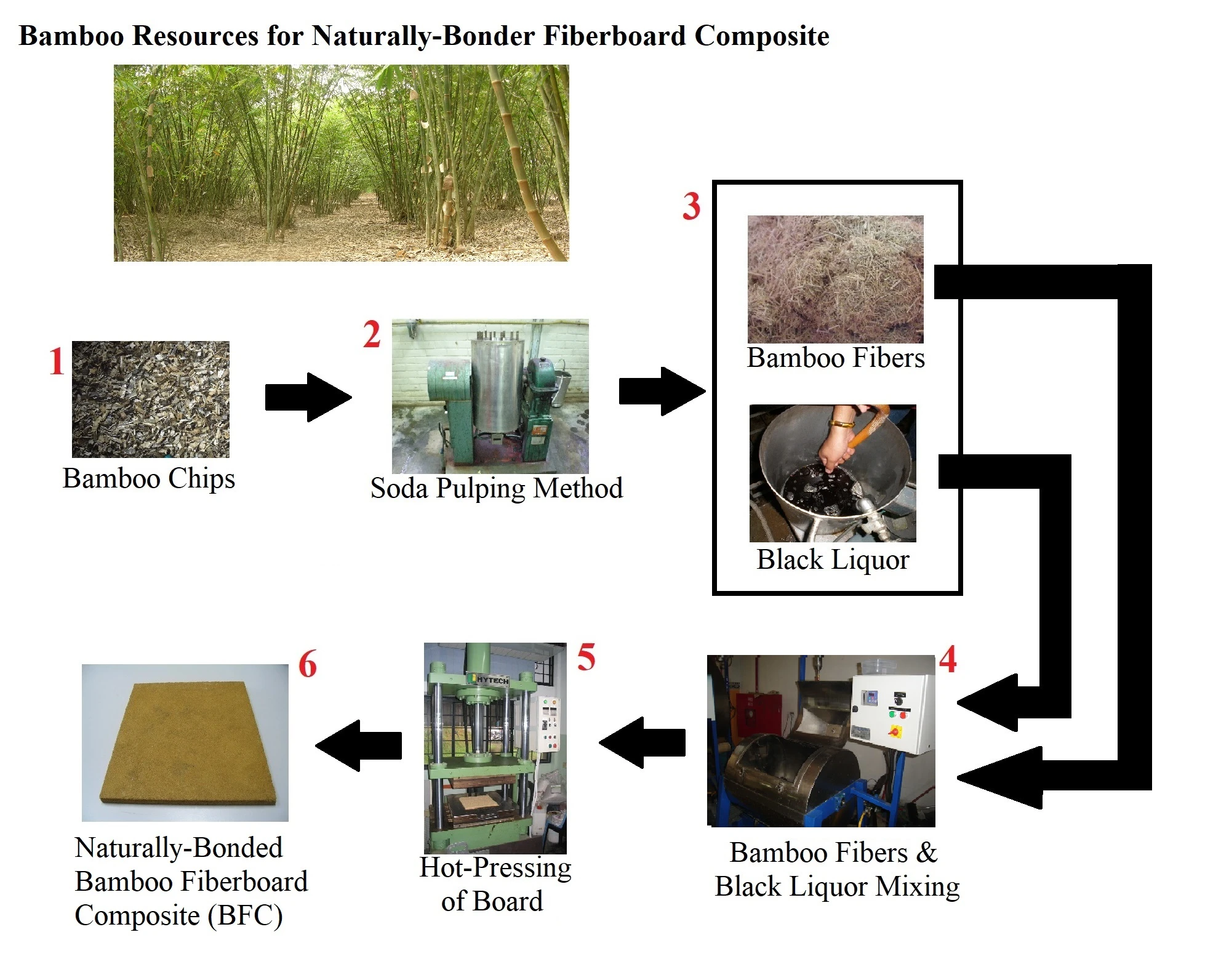 Strength Performance and Microstructure Characteristic of Naturally-Bonded Fiberboard Composite from Malaysian Bamboo (<i>Bambusa vulgaris</i>)
