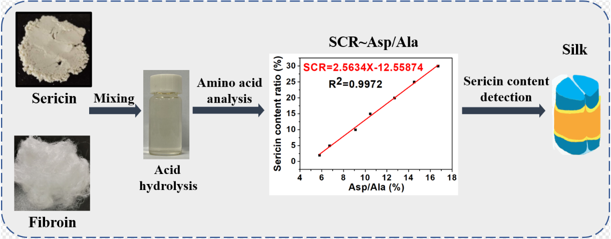 A Novel Method for the Quantitative Detection of Sericin Content in Silk Fiber Based on the Ratio of Aspartate to Alanine