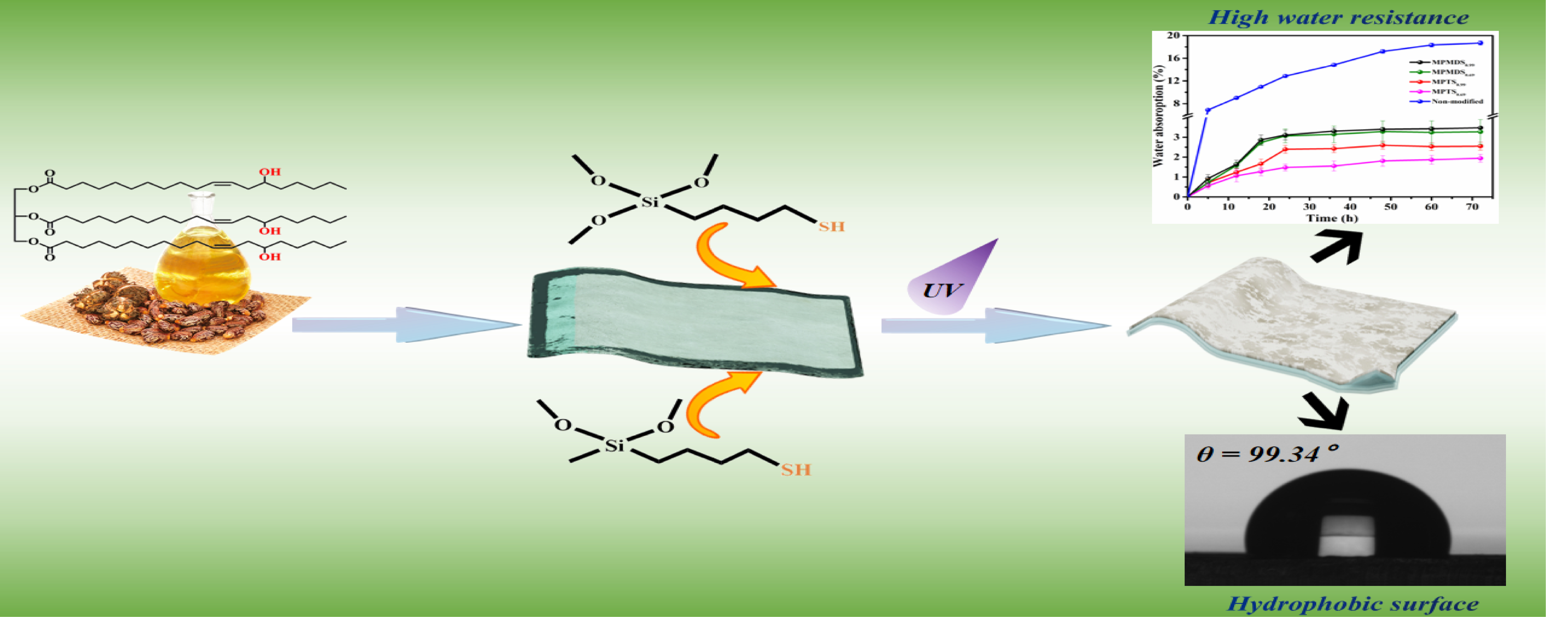 Enhanced Water Resistance Performance of Castor Oil—Based Waterborne Polyurethane Modified by Methoxysilane Coupling Agents via Thiol-Ene Photo Click Reaction