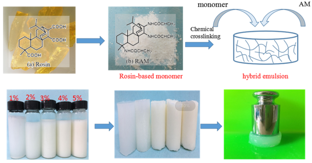Synthesis and Properties of Rosin-Based Composite Acrylamide Hydrogels