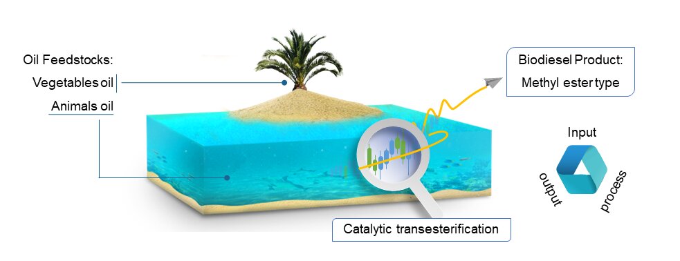 Methyl Ester Type Produced by Catalytic Transesterification: From Various Oil Feedstock to Biodiesel Products