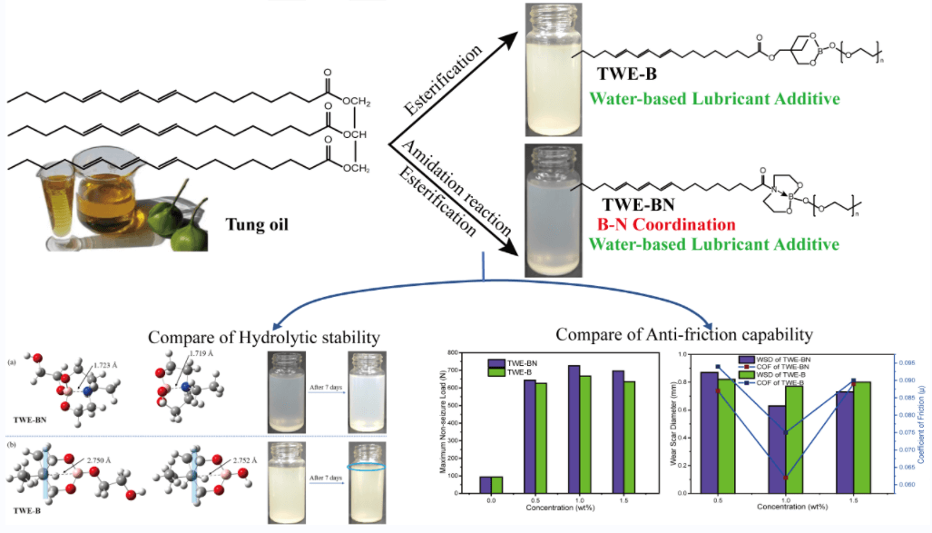 Insight into Hydrolytic Stability and Tribological Properties of B-N Coordination Tung Oil-Based Lubricant Additive in Water