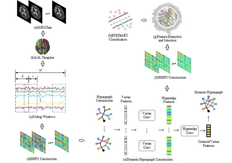 Brain Functional Networks with Dynamic Hypergraph Manifold Regularization for Classification of End-Stage Renal Disease Associated with Mild Cognitive Impairment