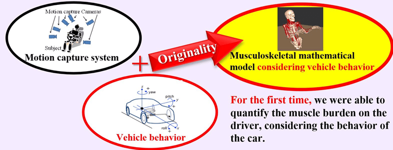 Quantification of Ride Comfort Using Musculoskeletal Mathematical Model Considering Vehicle Behavior