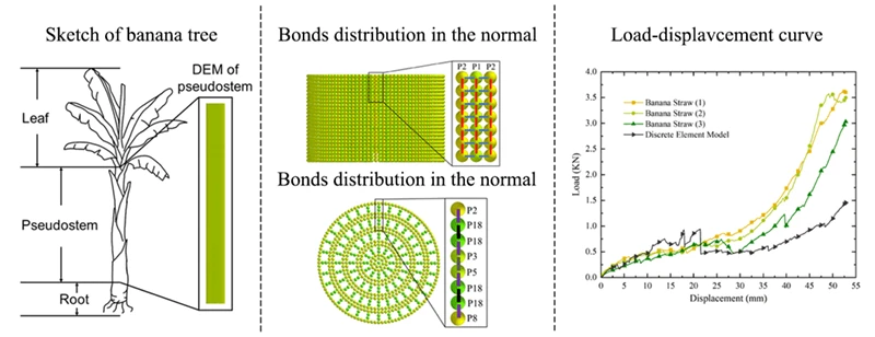 A Study on the Physical Properties of Banana Straw Based on the Discrete Element Method