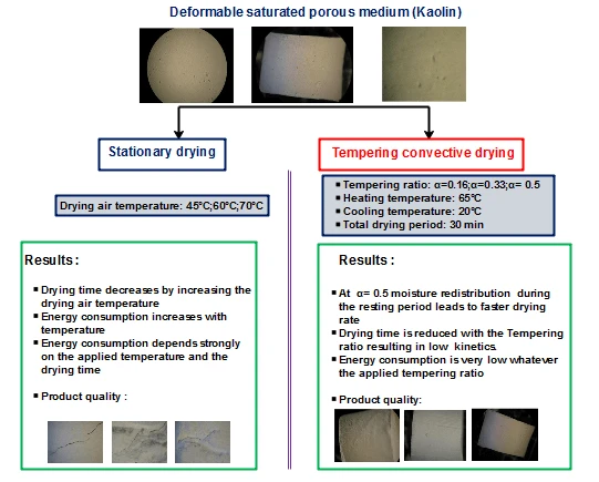 A Comparative Study of Different Drying Processes for a Deformable Saturated Porous Medium