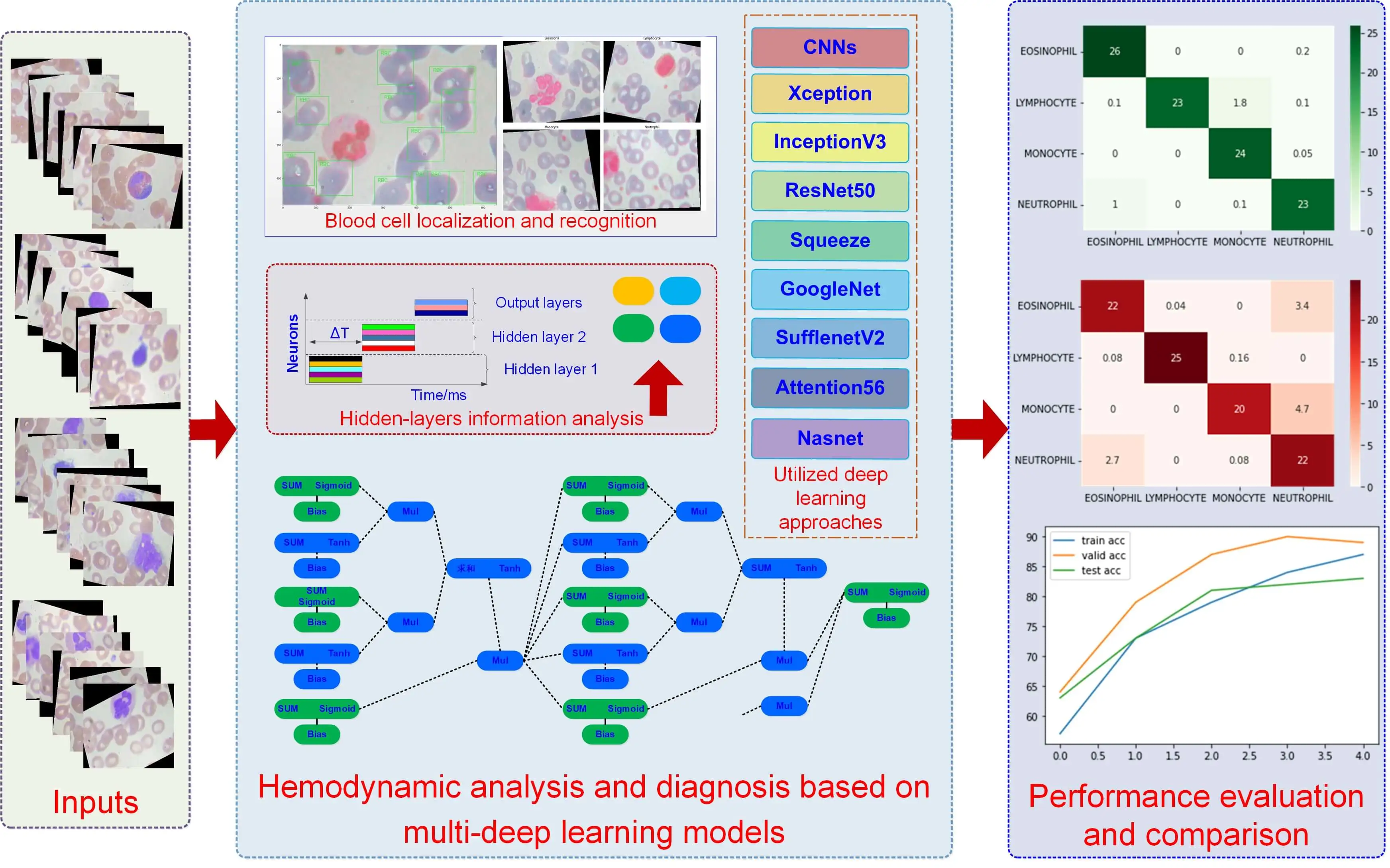 Hemodynamic Analysis and Diagnosis Based on Multi-Deep Learning Models